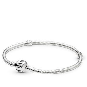 Pandora Sterling Silver Charm Bracelet!
